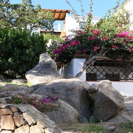 Residence Con Piscina A Liscia Di Vacca, 350 Mt Dal Mare, 3 Km Da Porto Cervo Εξωτερικό φωτογραφία